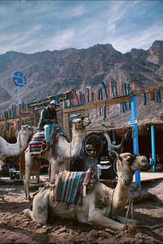 Attractions & Tours