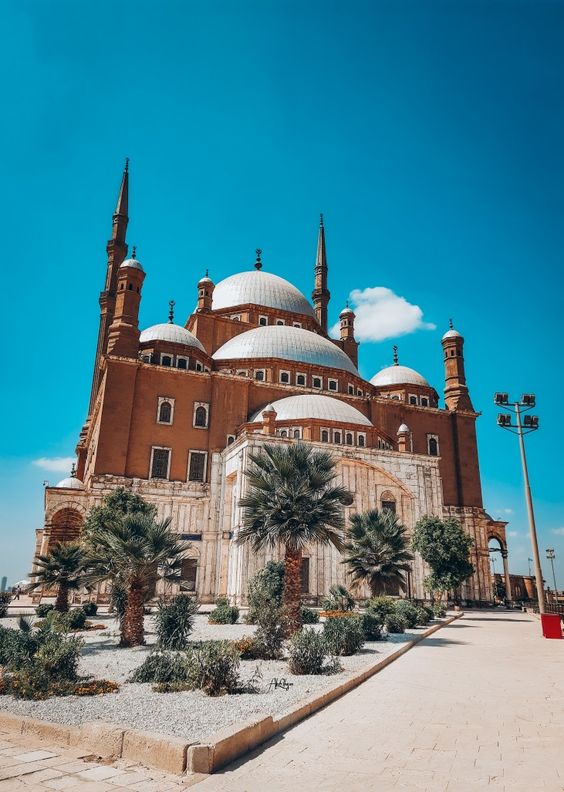 Attractions & Tours