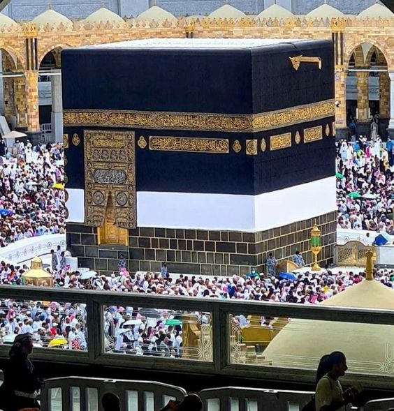رحله نوفمبر
