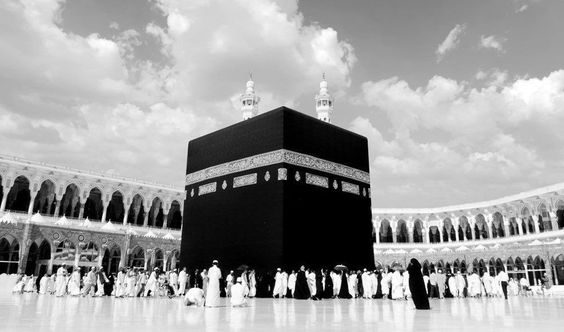 رحله نوفمبر