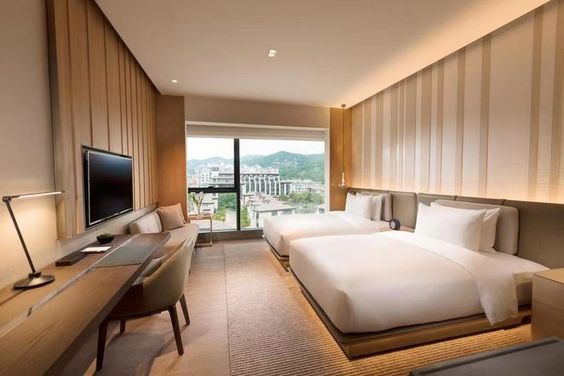 Luxury Hotels