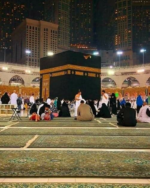 نوفمبر