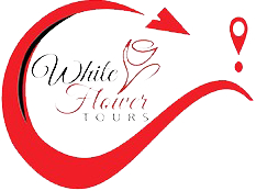 وايت فلاور العالمية للسياحة Logo