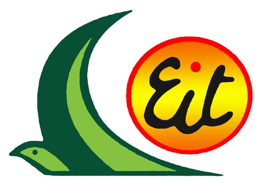 egyptian international travel Logo