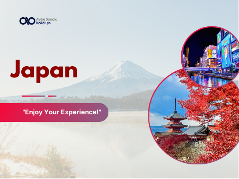 JAPAN OSAKA - KYOTO - NARA + BONUS "BIWAKO VALLEY SNOW RESORT" WINTER DISCOVER