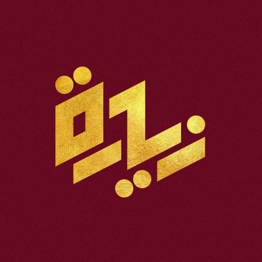 zyara tours Logo